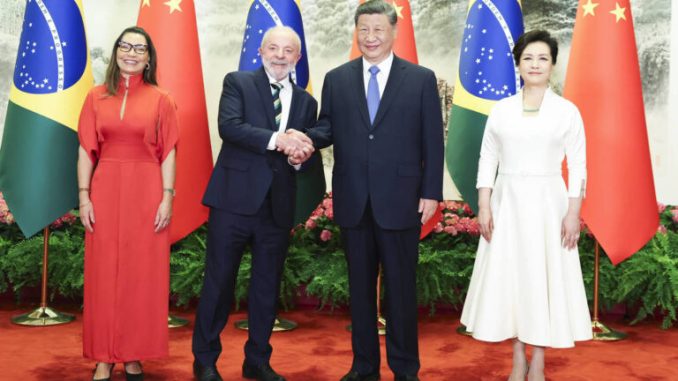 Lula-Xi-768x512